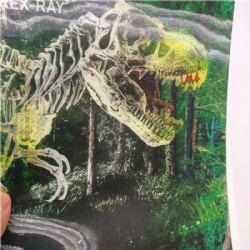 PVC TPU 3D Lenticular